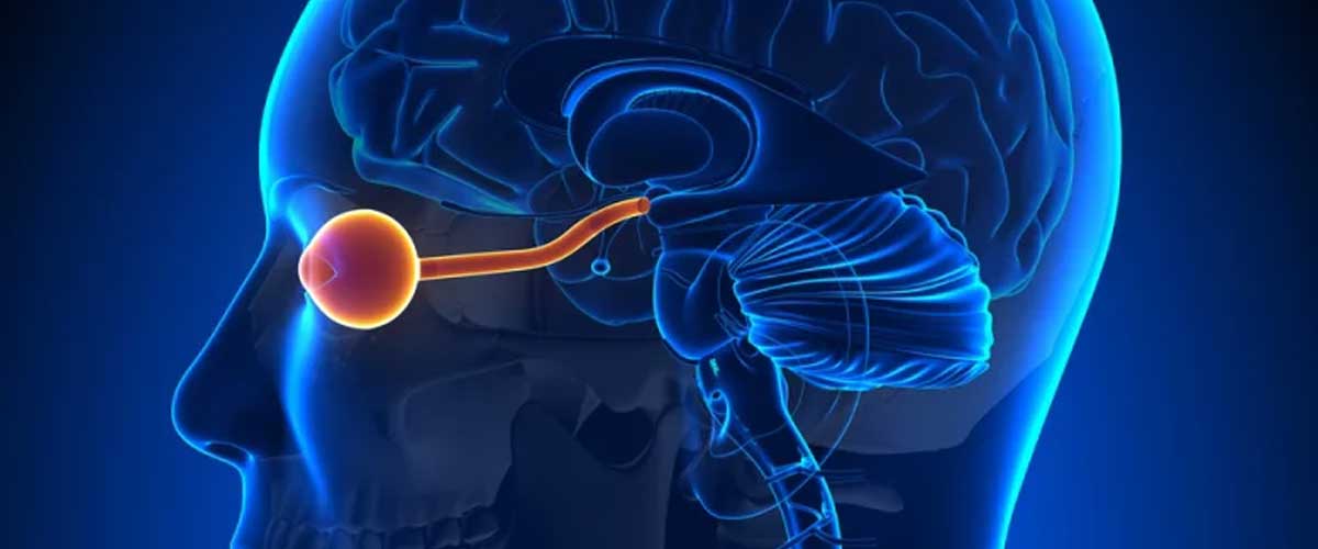 Neuro-Ophthalmologist in Kandivali